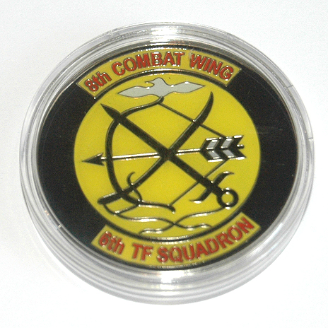 8TH COMBAT WING 記念メダル